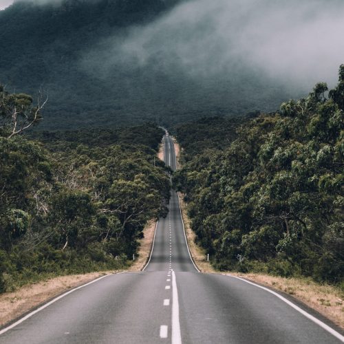 manuel-meurisse-5c8fczgvar0-unsplash